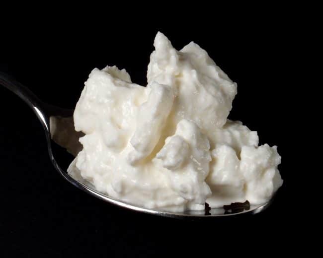 kefir and greek yogurt for dogs